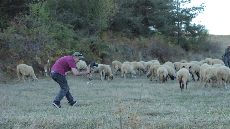 овце, народно, даше мейкинг, стефан николов, да настръхнем, гайда, кавал фолклор, етно бас проект, балканско