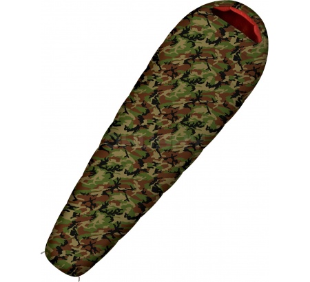 БАЗА