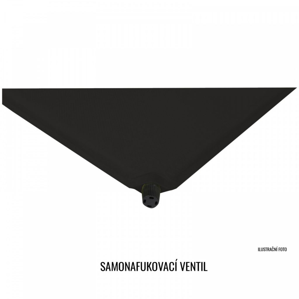 БАЗА